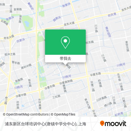 浦东新区台球培训中心(唐镇中学分中心)地图
