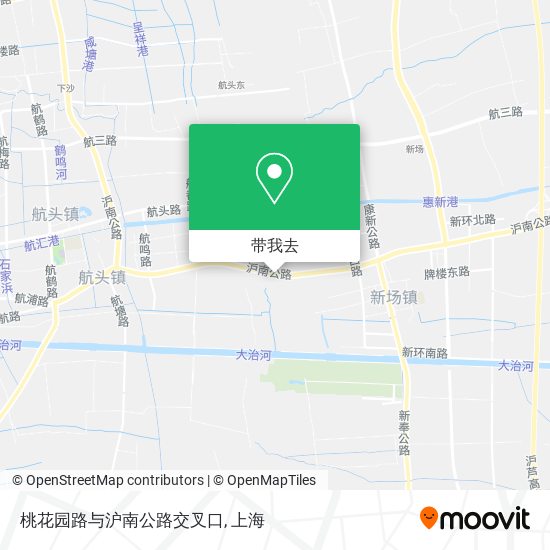 桃花园路与沪南公路交叉口地图