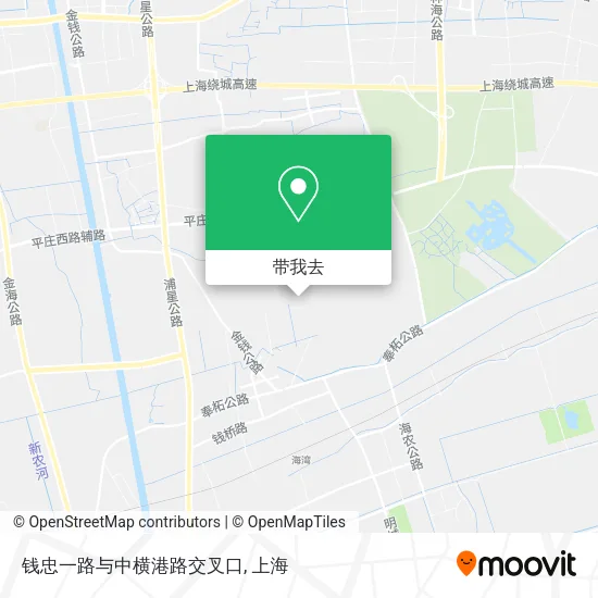 钱忠一路与中横港路交叉口地图