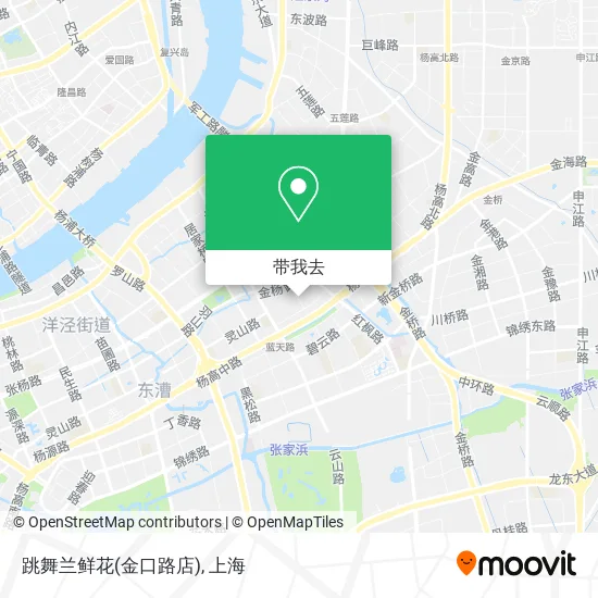 跳舞兰鲜花(金口路店)地图