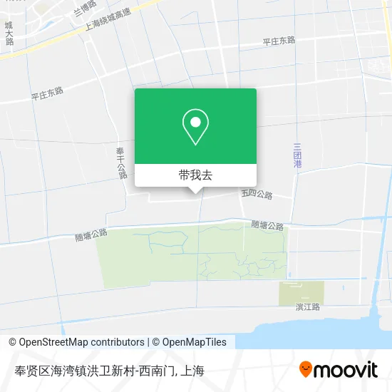 奉贤区海湾镇洪卫新村-西南门地图