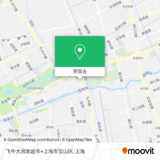 飞牛大润发超市+上海市宝山区地图