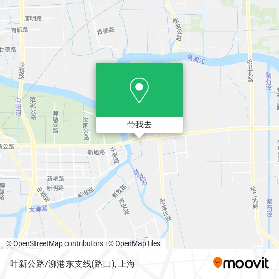 叶新公路/泖港东支线(路口)地图