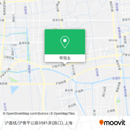 沪聂线/沪青平公路3581弄(路口)地图