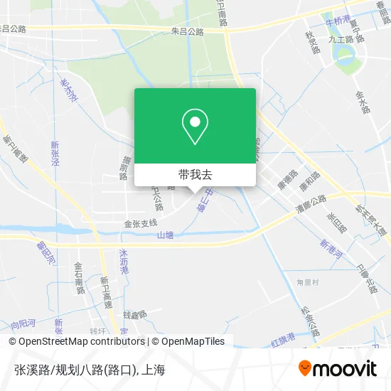 张溪路/规划八路(路口)地图