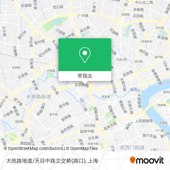 大统路地道/天目中路立交桥(路口)地图