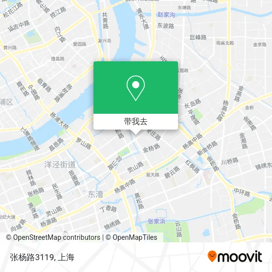 张杨路3119地图