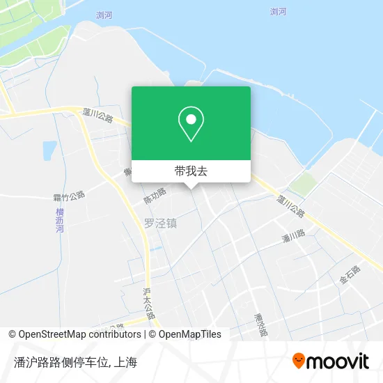 潘沪路路侧停车位地图