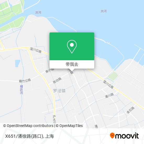 X651/潘徐路(路口)地图