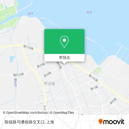 陈镇路与潘徐路交叉口地图