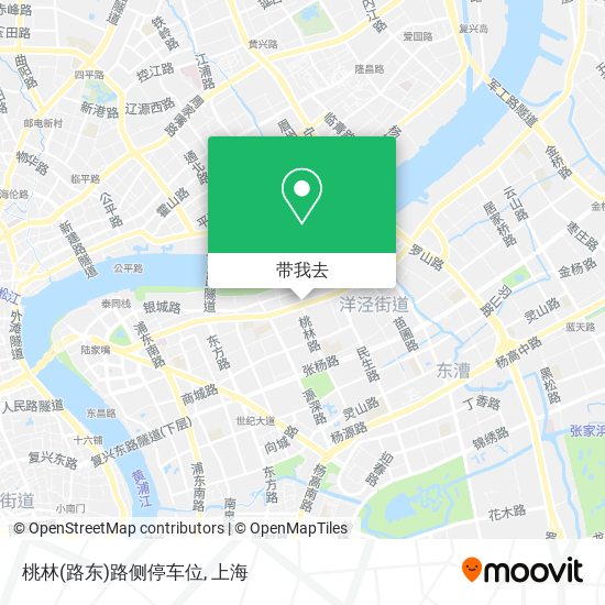 桃林(路东)路侧停车位地图