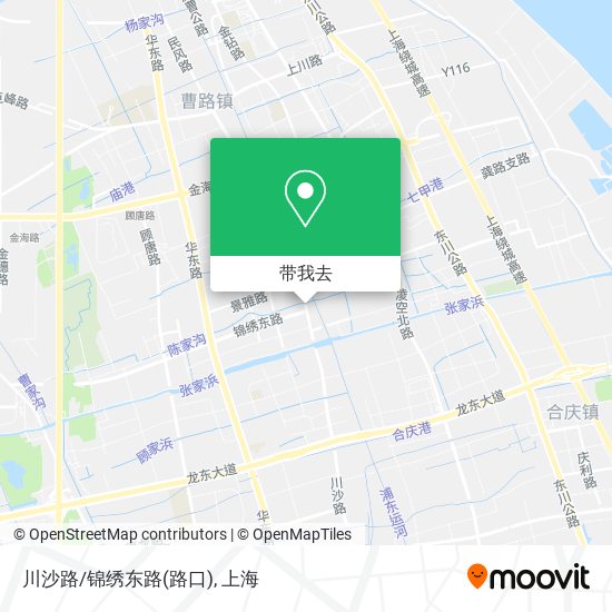 川沙路/锦绣东路(路口)地图