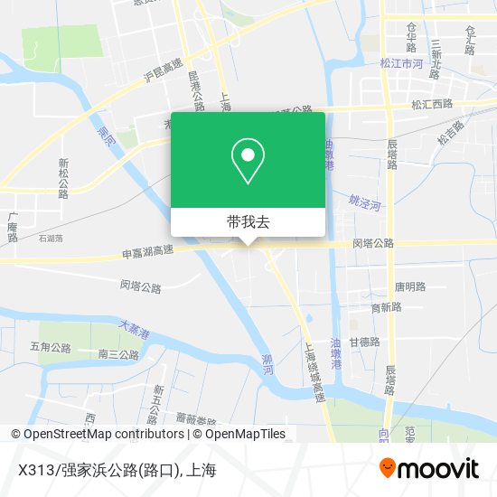 X313/强家浜公路(路口)地图