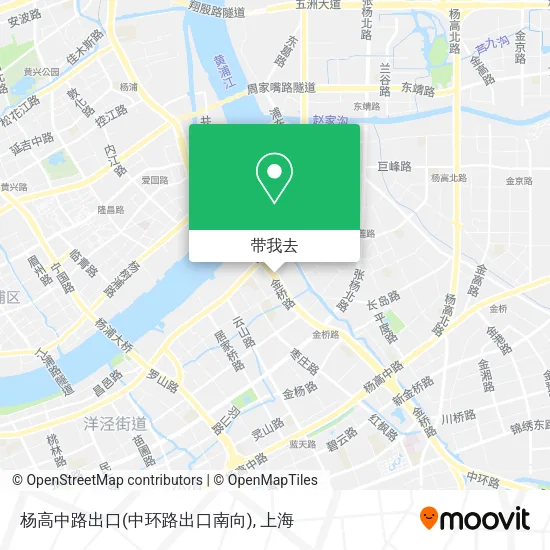 杨高中路出口(中环路出口南向)地图