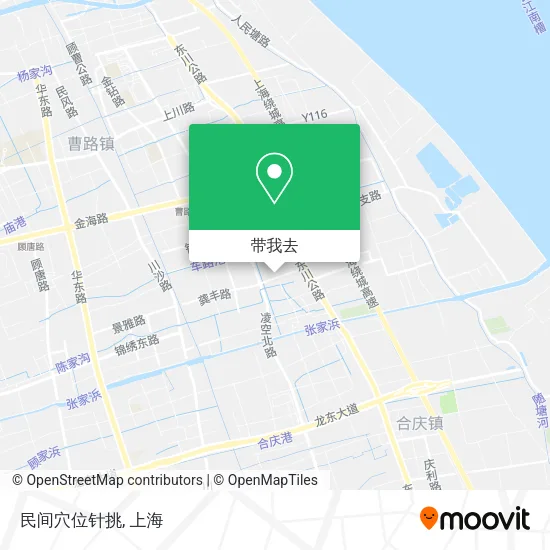 民间穴位针挑地图