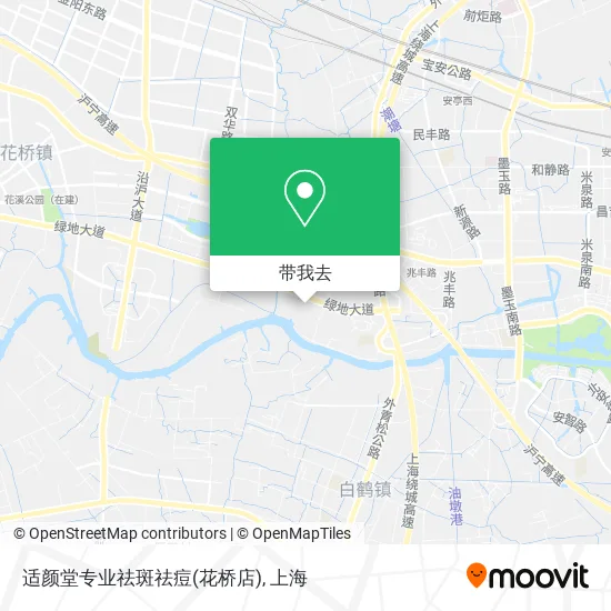 适颜堂专业祛斑祛痘(花桥店)地图