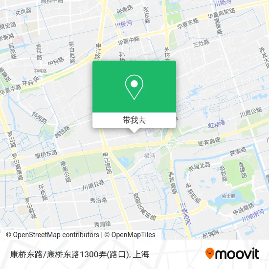 康桥东路/康桥东路1300弄(路口)地图
