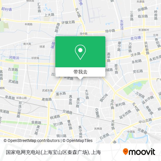 国家电网充电站(上海宝山区秦森广场)地图