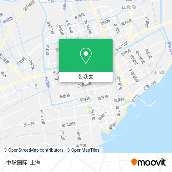 中脉国际地图