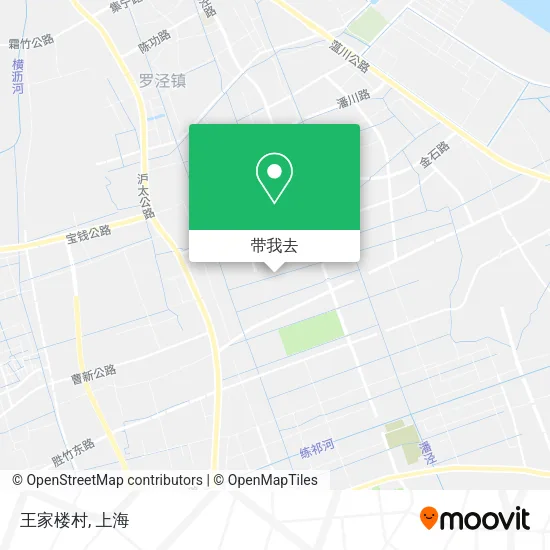王家楼村地图