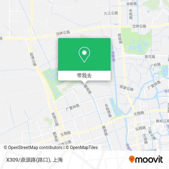 X309/鼎源路(路口)地图