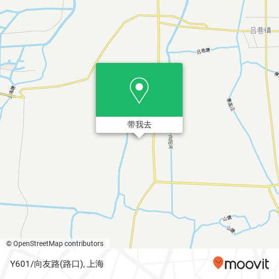 Y601/向友路(路口)地图