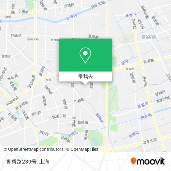 鲁桥路239号地图