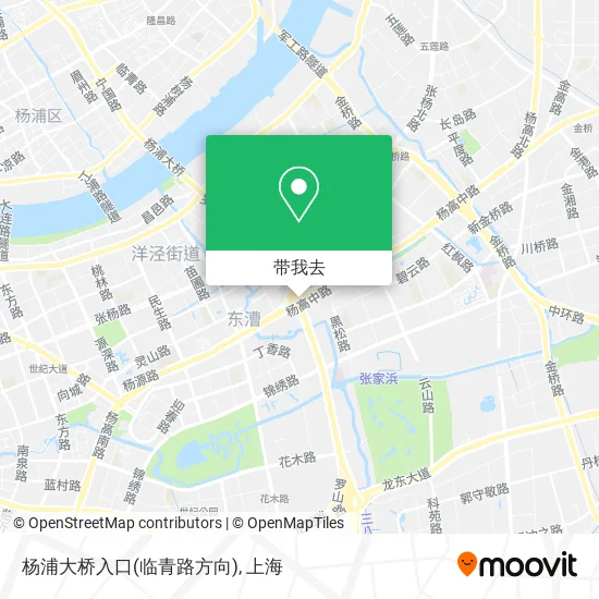 杨浦大桥入口(临青路方向)地图