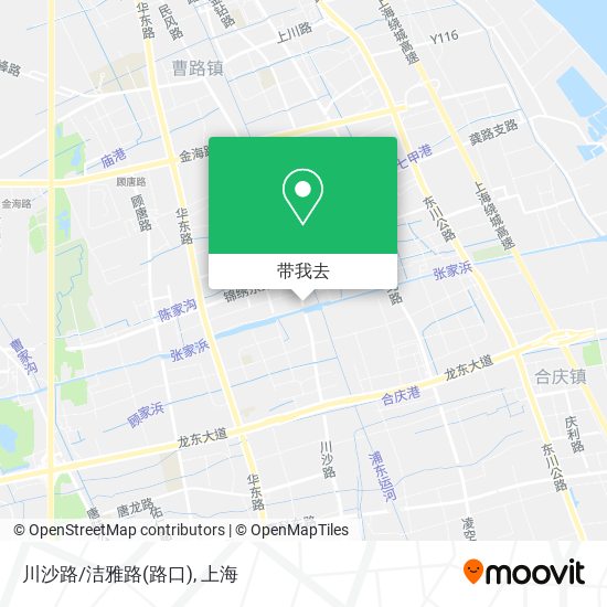 川沙路/洁雅路(路口)地图