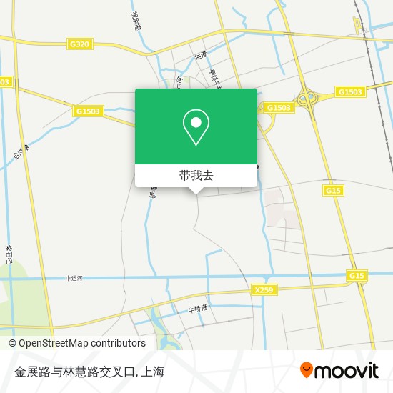 金展路与林慧路交叉口地图