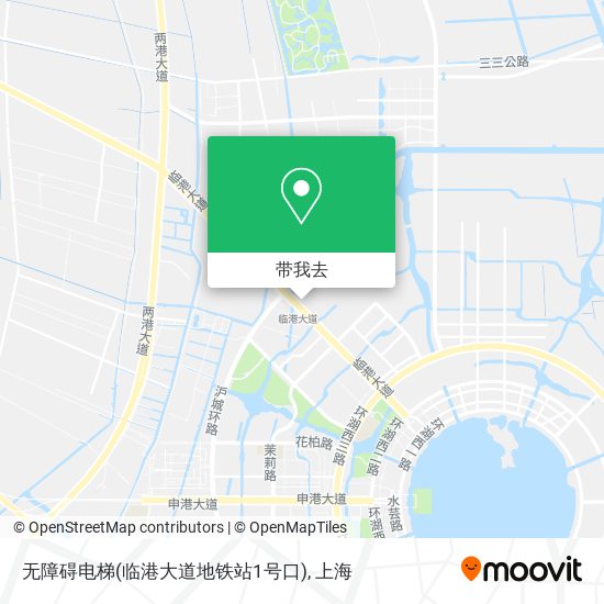 无障碍电梯(临港大道地铁站1号口)地图