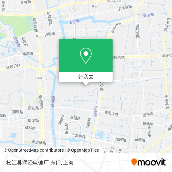 松江县洞泾电镀厂-东门地图