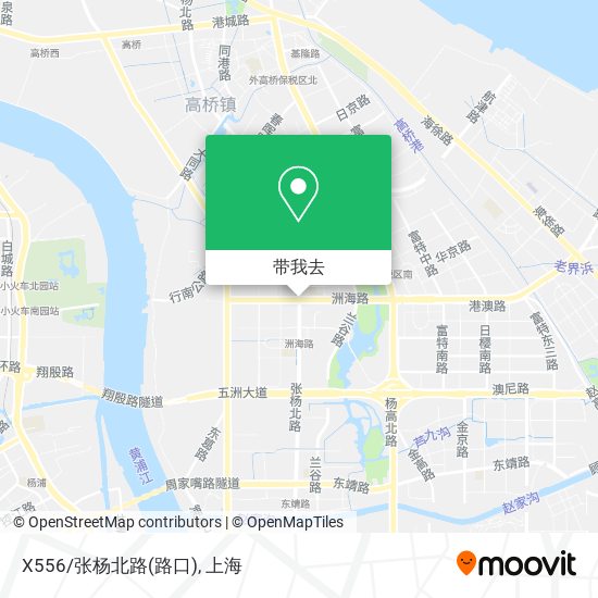 X556/张杨北路(路口)地图