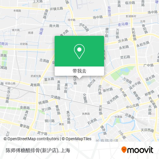 陈师傅糖醋排骨(新沪店)地图