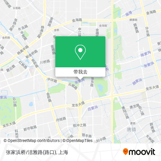 张家浜桥/洁雅路(路口)地图