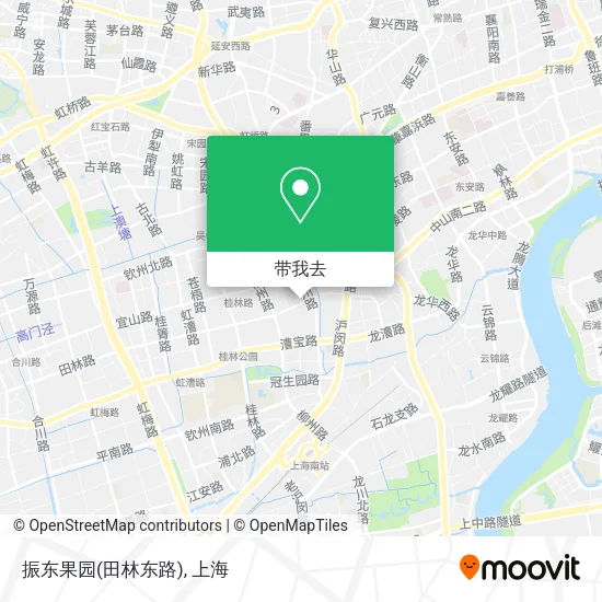 振东果园(田林东路)地图