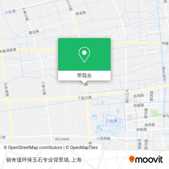 丽奇珑环保玉石专业背景墙地图