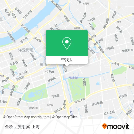 金桥世茂湖滨地图