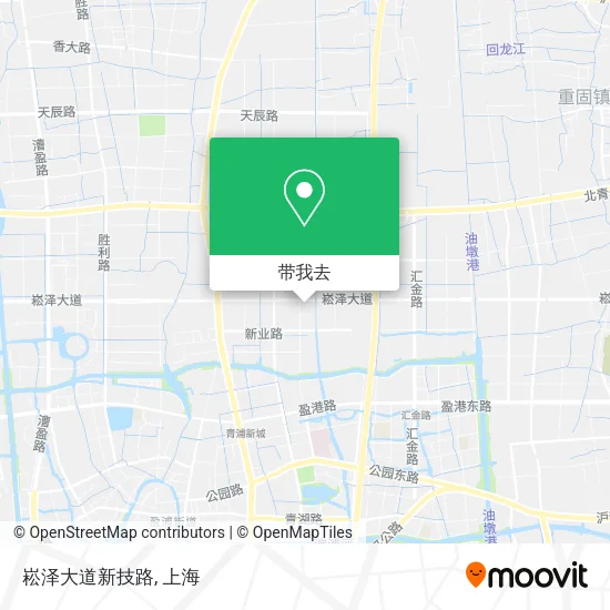 崧泽大道新技路地图