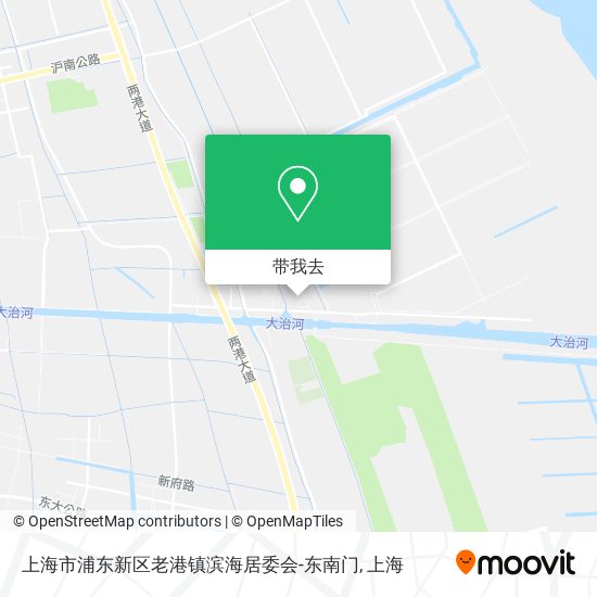 上海市浦东新区老港镇滨海居委会-东南门地图