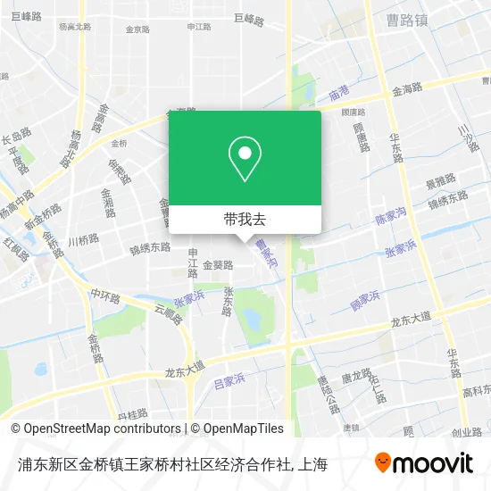 浦东新区金桥镇王家桥村社区经济合作社地图