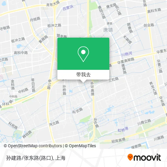 孙建路/张东路(路口)地图