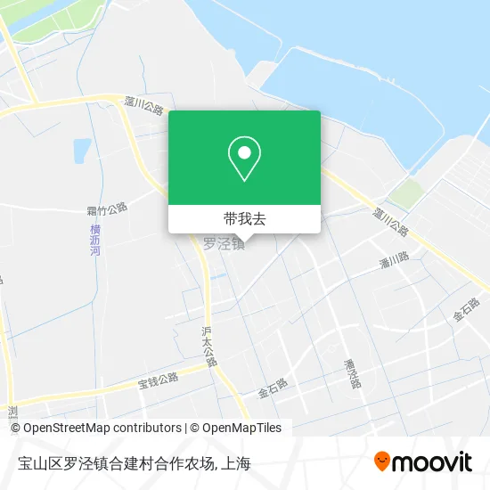 宝山区罗泾镇合建村合作农场地图