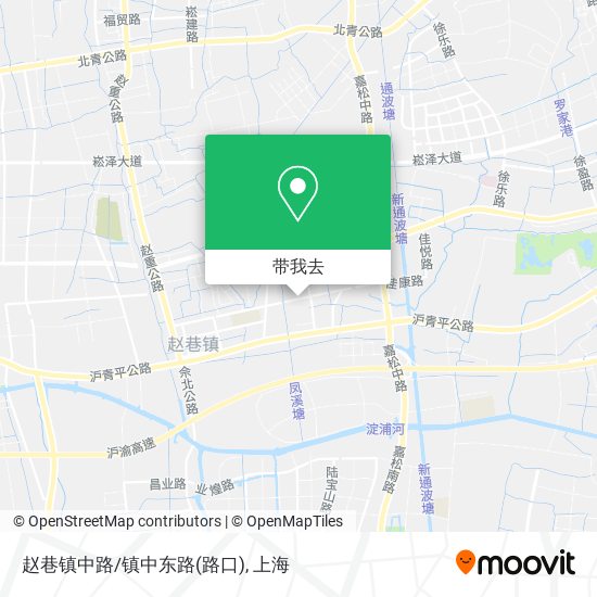 赵巷镇中路/镇中东路(路口)地图