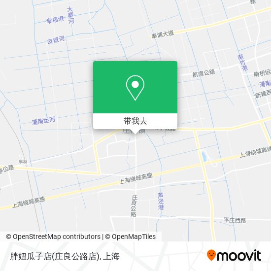 胖妞瓜子店(庄良公路店)地图