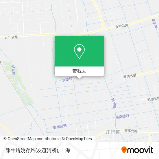 张牛路姚存路(友谊河桥)地图