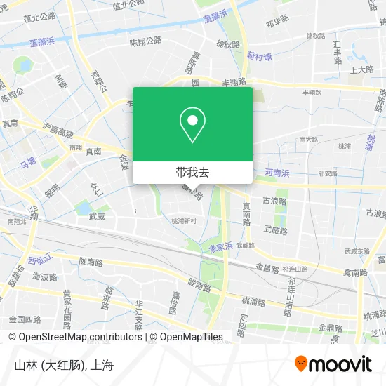 山林 (大红肠)地图
