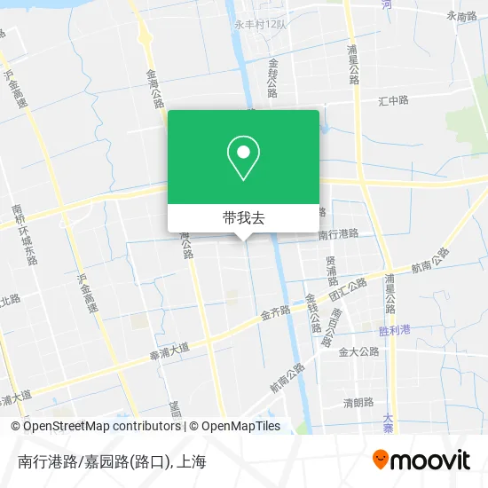 南行港路/嘉园路(路口)地图