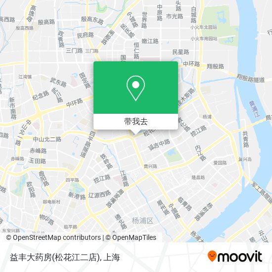 益丰大药房(松花江二店)地图