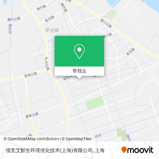 儒竞艾默生环境优化技术(上海)有限公司地图